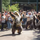 BEAR DANCE