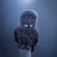 The Phantom at blue hour