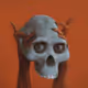 Skulls of Luci 1/1