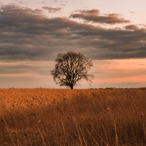 Gig's Journey - Journey Log #1