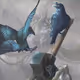 mjolnirr
