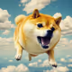 superdoge