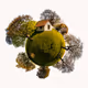 Orbital Planets