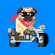 Pugsy