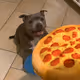 Pizza.... so good!