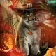 Halloween Cat Witch