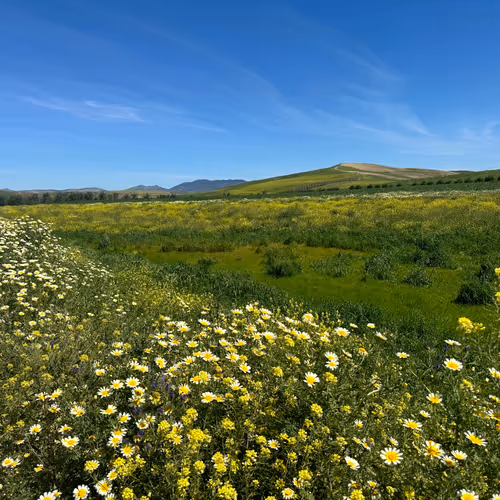 Somewhere in the World