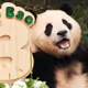 FuBao