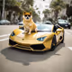Doge with a Lambo