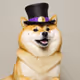 MAGICIAN DOGE