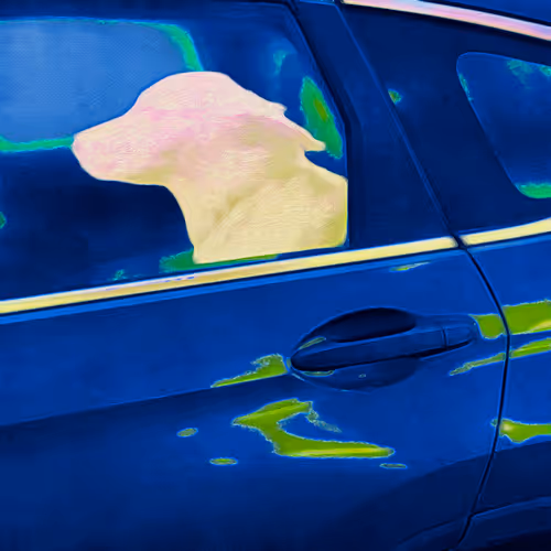 Vinyl Dog Futuristic