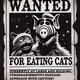 $D741 - The Illegal Alien Eating All the Cats
