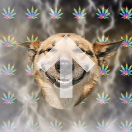 ↑𖥸 HIGHer𖥸 ↑