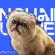 ONCHAIN MR.MIGGLES