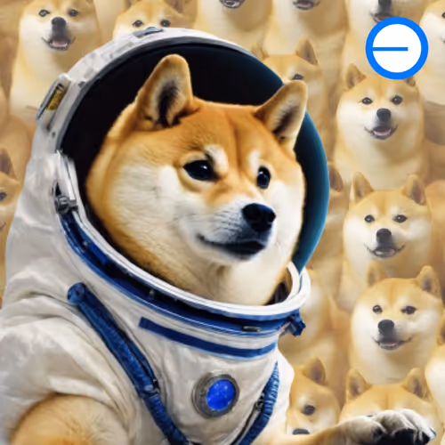 Doge To The Moon