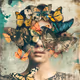 Butterfly Dreams