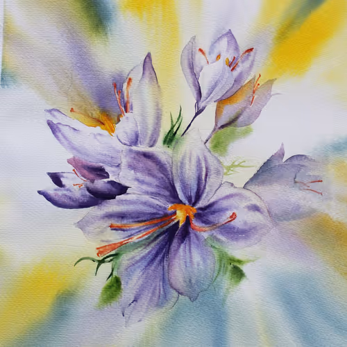 Saffron flowers