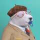First Base 3D PFP