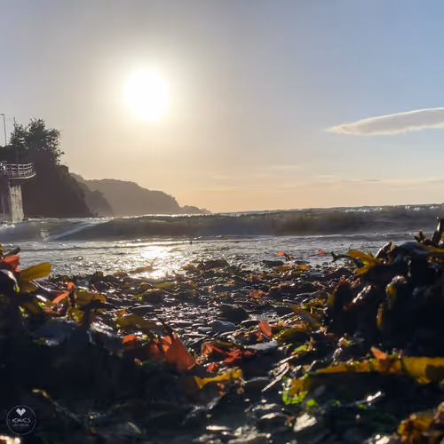 A Personal & A Blog Update - Issue 74