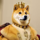 Sir Doge-a-lot