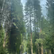 Yosemite