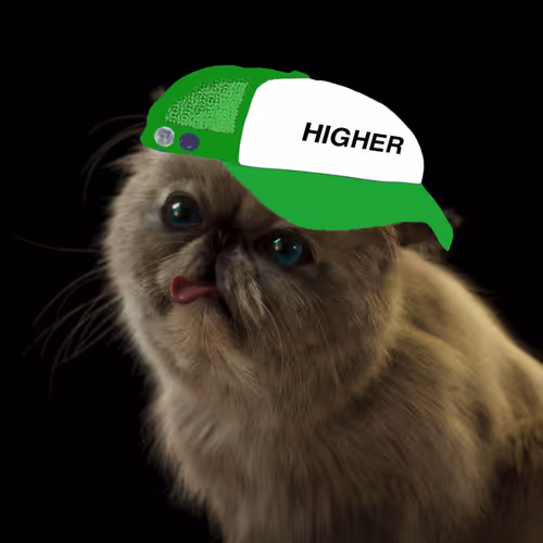 mr. miggles going higher