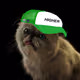 mr. miggles going higher