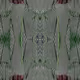 Nature and patterns