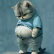 Base Sad Cat