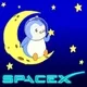 PENGU SpaceX 7