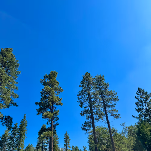 Base launch behind the scenes