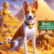 Basenji