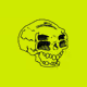Dry Bones