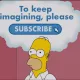 Homer S2