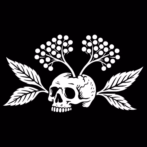 Wild Bloom Elderberry Co. Early Access