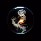 A Visual Exploration of the Eternal Embryo