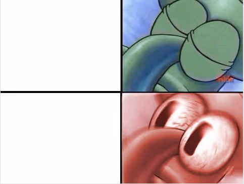 Squid