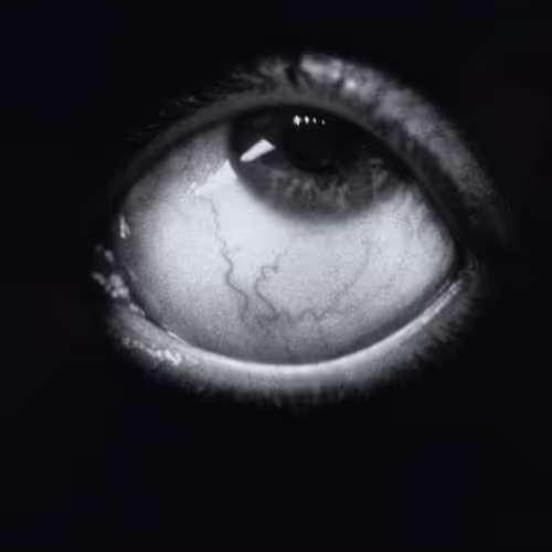 The lab mag - Futuro