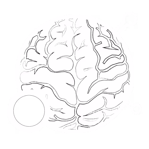 Infested Imagination