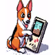 Basenji