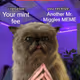 Miggles Trade Offer