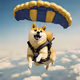 sky doge