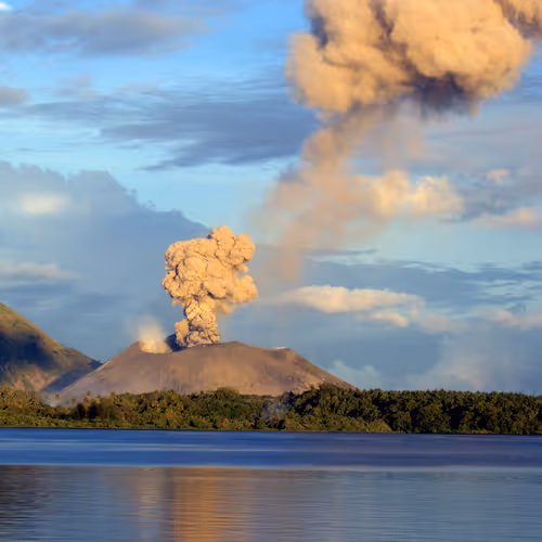 Blockchain jungle beasts