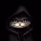 KSI's Cat