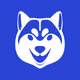 Based Doge Club