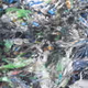 plastic | soul