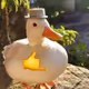 Cool Duck