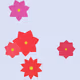 Algo bloom