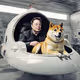 Dogelon