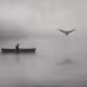 Solitude and Flight
